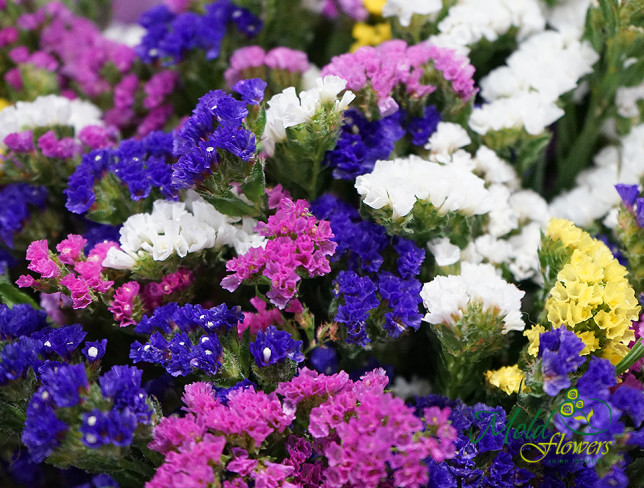 Bouquet of statice ''Purple Sunset'' photo